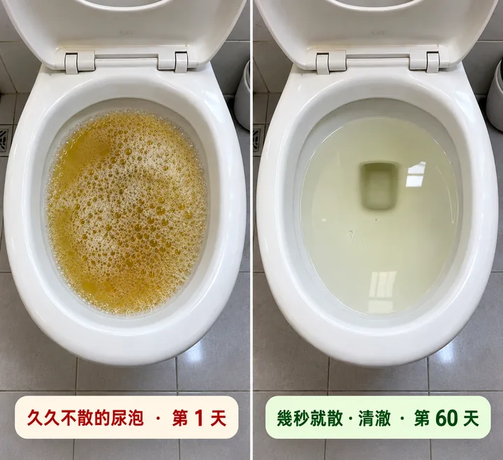 久久不散的尿泡（第 1 天） vs 幾秒就散、清澈（第 60 天）