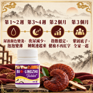開始之後可以期待什麼
